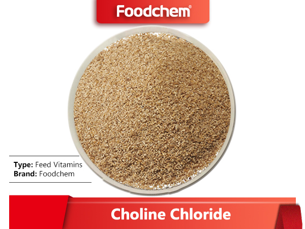 Choline Chloride 70% Corn Cob