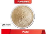 Pectin