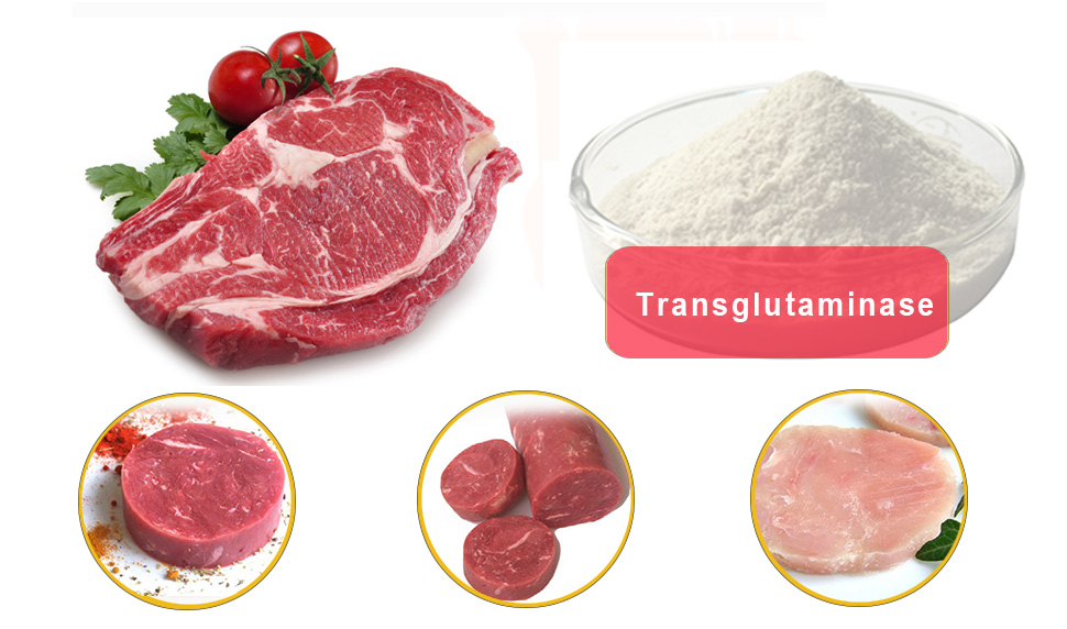 transglutaminase supplier