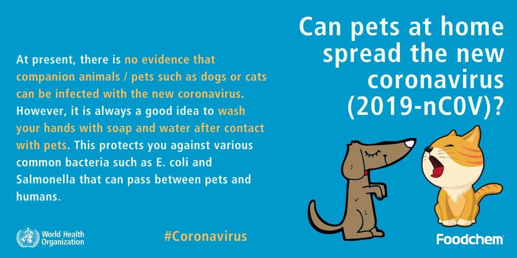 Coronavirus disease (COVID-19) Advice for The Public